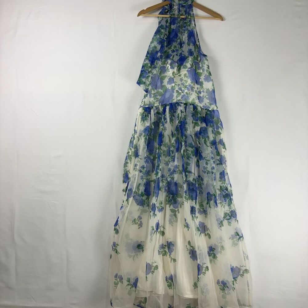 BHLDN Floral Organza Maxi Dress